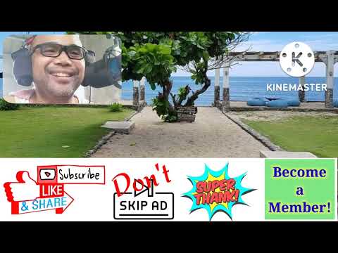 REACTION: "While Love Died" - NORTHWARD