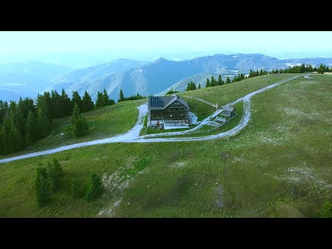 Freezy Trap - Frei (Upgrade) feat. Corinne Casey