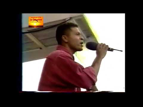 JOEL VIGNE    le gout l'amour