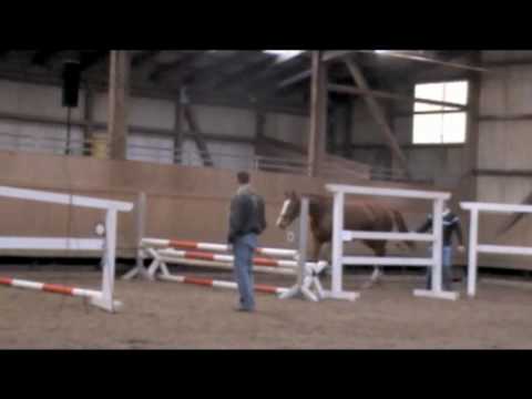 Lissabon - Matcho AA