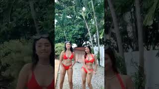 All TikTok viral challenge 2021