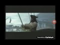 Pirates DVD Commercial