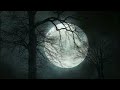 Forest Full Moon Night Sounds Wolf Owl Crickets Nature Ambience Sleep ASMR Meditation Healing
