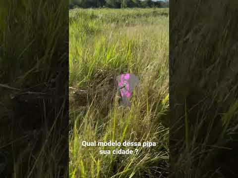 Qual modelo aqui come rato #shorts #pipa