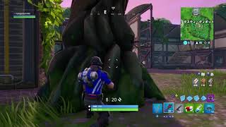 Fortnite実況. No,2勝利か？敗戦か？*