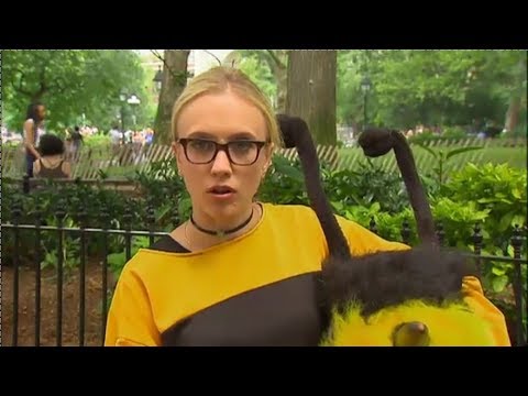 09-03-16 Kat Timpf on The Greg Gutfeld Show - Kat's Bee Mascot Package