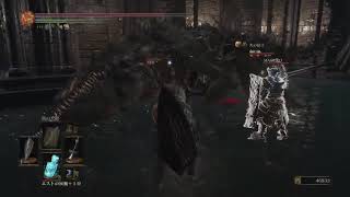 「【DARK SOULS 3】装備重量100％超え縛りカンスト攻略ボス撃破シーン！＃9！貯水槽のワンワン戦！