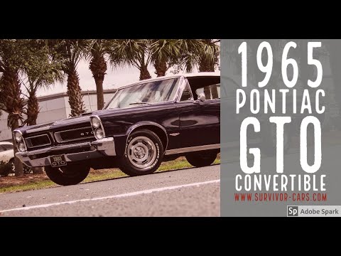1965 Pontiac GTO (CC-1350600) for sale in Palmetto, Florida
