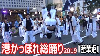 港かっぽれ総踊り２０１９ by蓮華姫【清水みなと祭り】港かっぽれ・かっぽれフラメンコ・活惚レゲエ・かっぽれ佞武夛・かっぽれエイサー・地踊り（港かっぽれ総おどり８月３日土曜日）