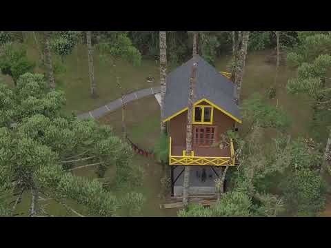 Casa na árvore em Monte Verde