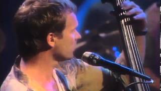 Sting - Mad about you (unplugged)