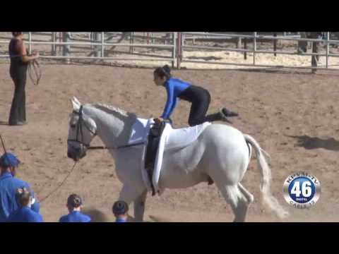 11/10/2016 Horse Vaulting