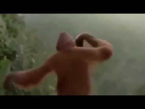 16 ноября 2016 г.