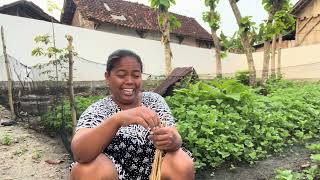 Download lagu JABUT BAYEM KEKAYAAN PAK JAPLIK KENEK KANGGO TUKU KALUNG GESS mp3 Download lagu JABUT BAYEM KEKAYAAN PAK JAPLIK KENEK KANGGO TUKU KALUNG GESS mp3