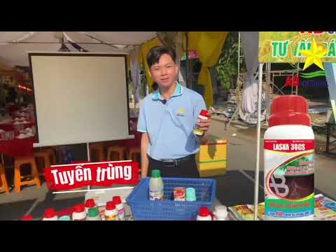 🔥🔥ĐỂ AB CHEMICAL PHỐI MỘT SỐ COMBO “CHẤN ĐỘNG” TRÊN SẦU RIÊNG DÀNH CHO QUÝ BÀ CON!!!