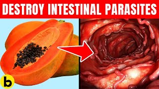 5 Natural Remedies To DESTROY Intestinal Parasites