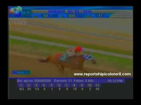 Resumen La Rinconada Domingo 01/08/2010