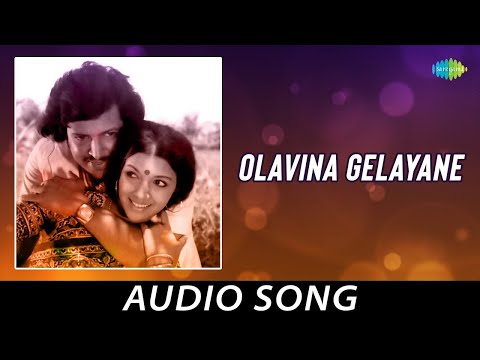 Olavina Gelayane - Audio Song | Naa Niruvude Ninagaagi | Vishnuv Ardhan, Arathi | Rajan - Nagendra