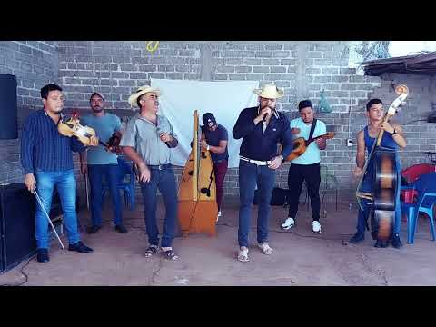 La parcela de la joya [en vivo] Esencia De Michoacán