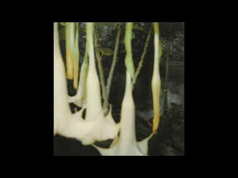 Dark Grunge x Metal x Alternative Type Instrumental - "Blossom" || + anticøn