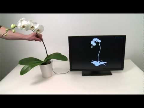 Up Next In Motion Control: Plant-Fondling