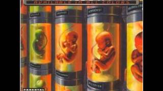 One Minute Silence-Stuck Between a Rock and a White Face