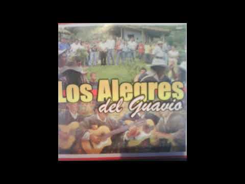 Sueño Llanero - Los Alegres del Guavio