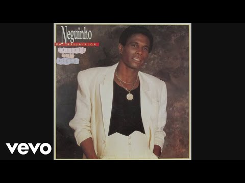 Neguinho Da Beija Flor - Foi o Teu Amor (Áudio Oficial)