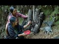 Harvesting Corn And Growing Wood Ear Mushrooms May And Grandma S Self Sufficient Little Corner