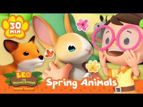 ICONIC ANIMALS FOR SPRING TIME! Rabbit, Fox & more! Leo the Wildlife Ranger | Kids Learning Cartoons - Kids TV Series, Kingdom Kids Zone - Leo the Wildlife Ranger - Official Channel