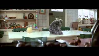 Sainsbury's OFFICIAL Christmas Advert 2015 - Mog's Christmas Calamity
