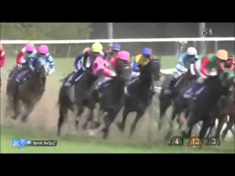 NHKマイルカップ2016