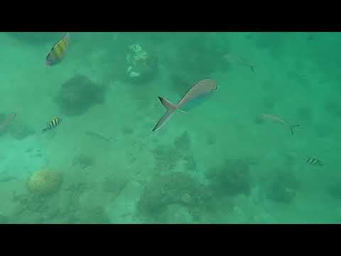 VLOG23 |Krabi Trip | Telugu Vlogs | Sreekar Karthik | Thailand| Snorkeling |