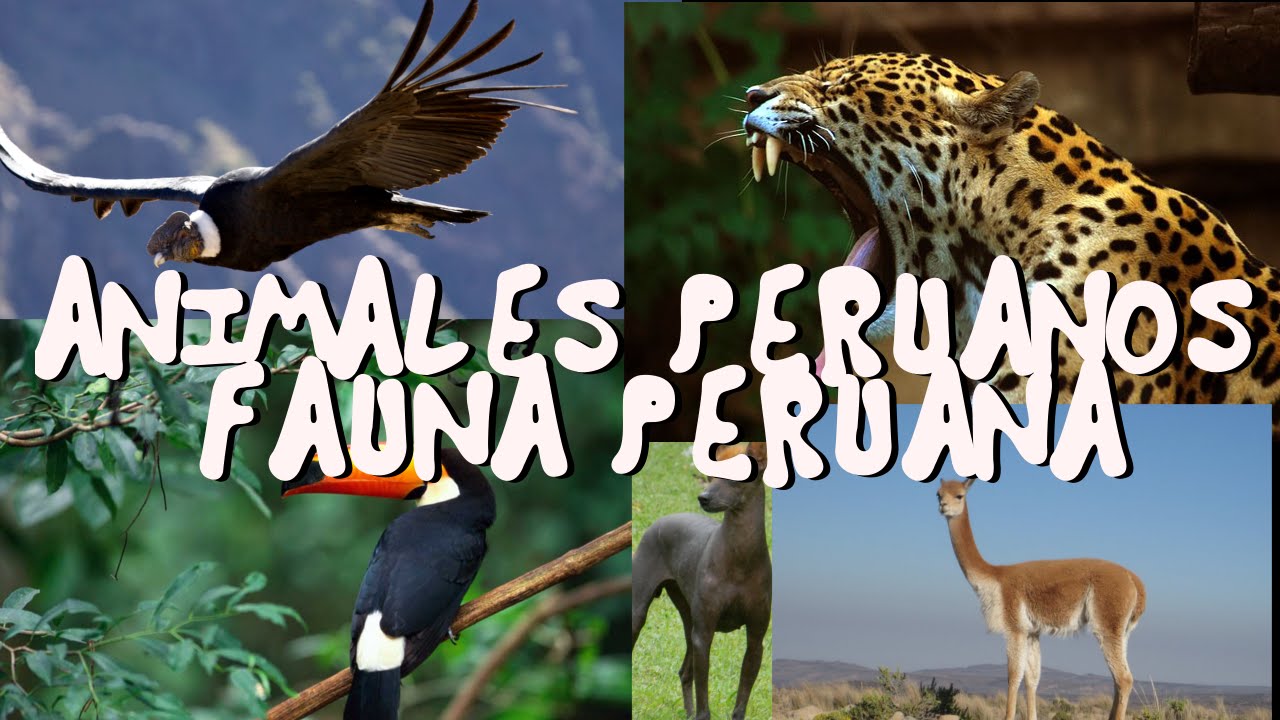 Seres impresionantes