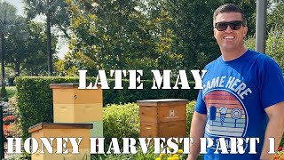 Late May & Honey Harvest Part 1 | #colesfarmnc #jacksonvillenc #beekeeping