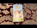 The Adventures Of Milo And Otis VHS Review