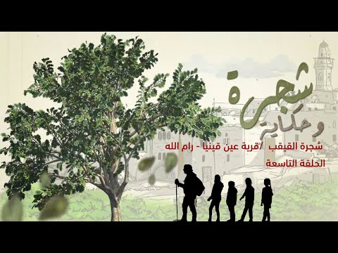 برنامج شجرة وحكاية/ الحلقة التاسعة /شجرة القيقب - قرية عين قينيا -رام الله