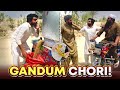 Chalty Huwe Rikshy Se Gandum Otar Ki