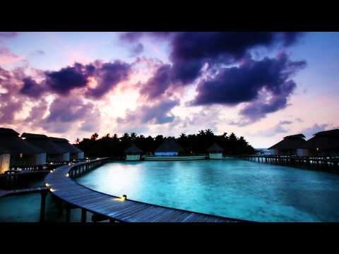 The Freefall Collective - Kermit's Crafty Coconut [HD]