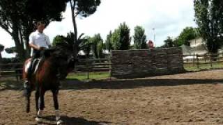 Fernando Ariza e Albor.