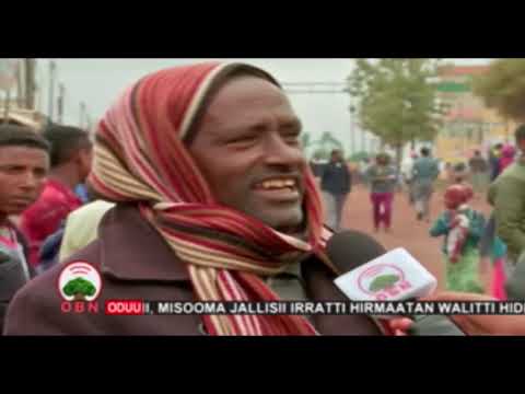 Daandii asfaaltii Itayyaa Seeruu 8 4 2012