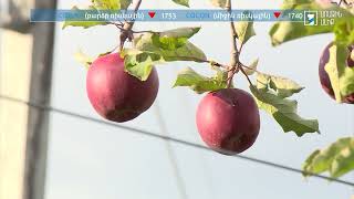 Ինդեքս 28.10.2022
