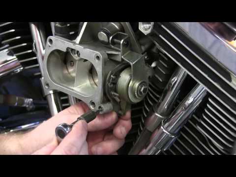 ThunderMax Marelli EFI Throttle Adjustment