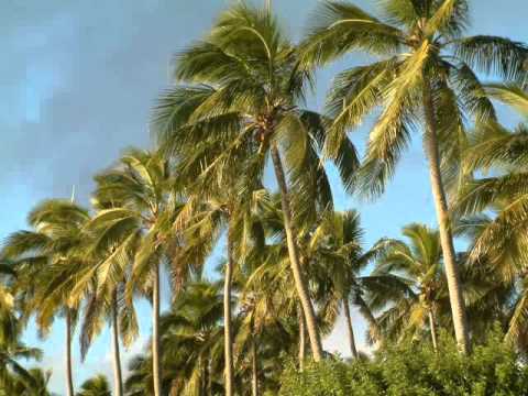 EXILE ON  ( an pé ké pwen'y )