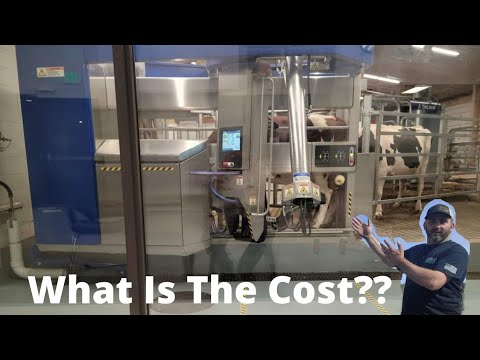 What Is The Cost & Benefits Of Robotic Dairy Farming