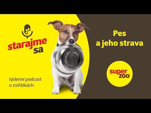 Pes a jeho strava | Podcast Super zoo