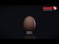 Gamo Match Pellets (Flat Nose) .22 Cal 632002554
