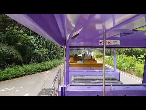 [SDC] Volvo B12BLEA Loud ZF!- WC2649C Beach Tram