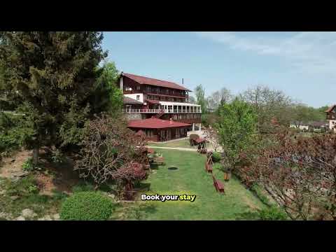 Discover Complex Albota – Your Mountain Escape in Arpașu de Sus, Romania!