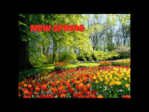 Ruguy Mix 135 - New spring (11.03.2017)